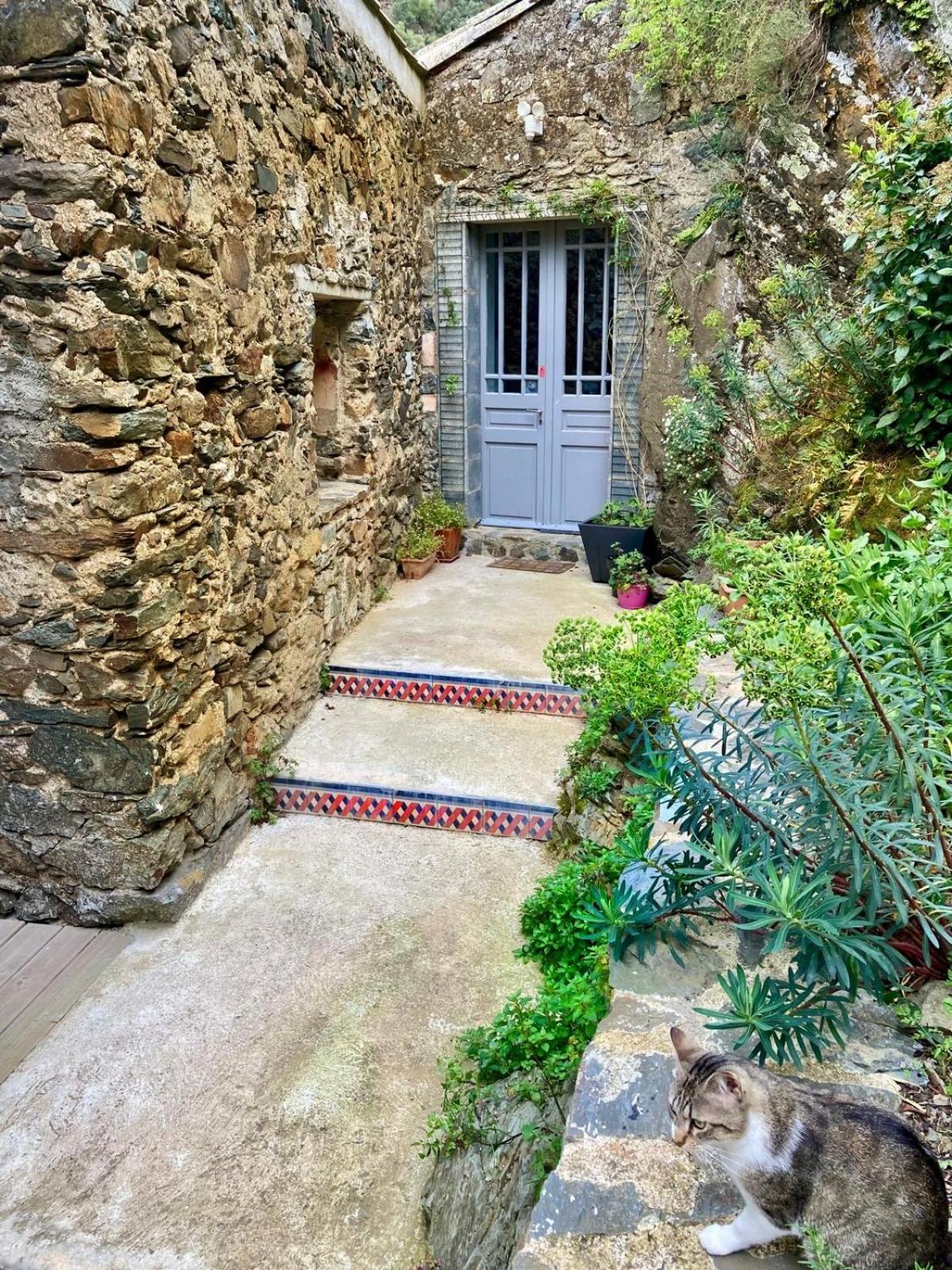 Château Cabaret: Luxury Cathar Retreat with Panoramic Terrace Lastours Exterior photo