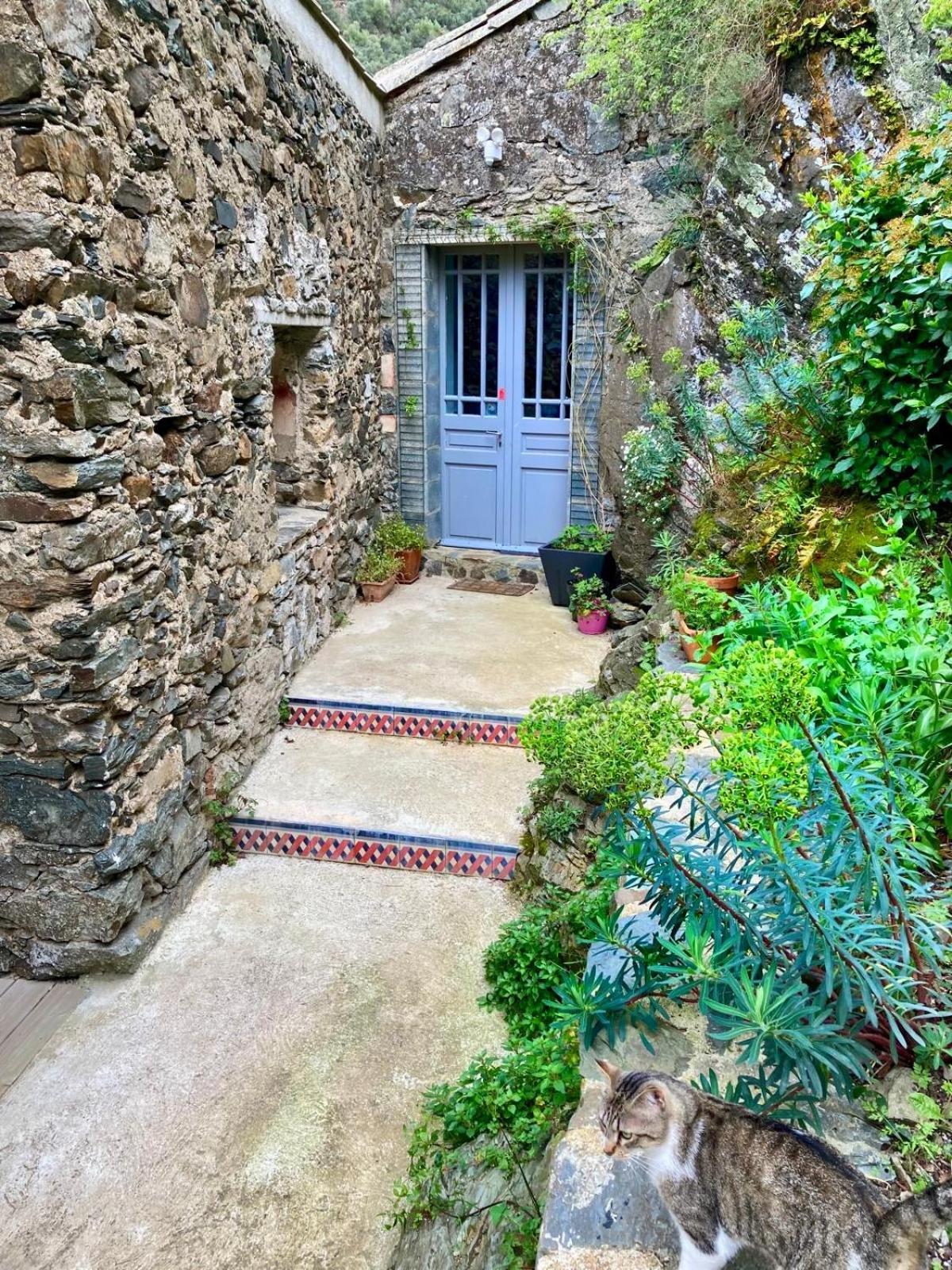 Château Cabaret: Luxury Cathar Retreat with Panoramic Terrace Lastours Exterior photo